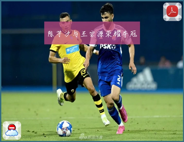 陈芋汐与王宗源荣耀夺冠