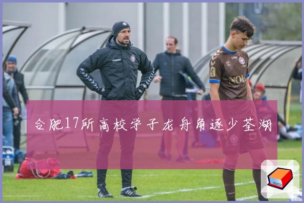 合肥17所高校学子龙舟角逐少荃湖