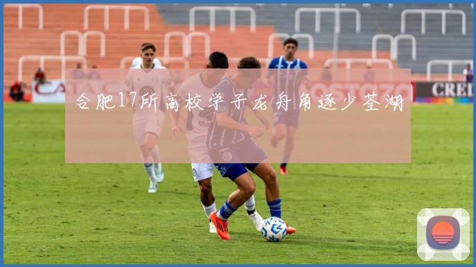 合肥17所高校学子龙舟角逐少荃湖